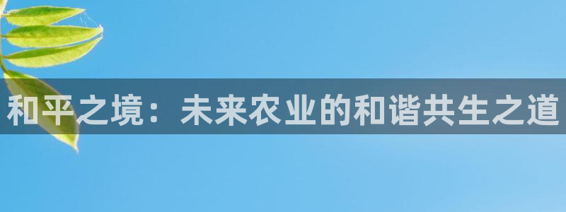 金年会入口网站