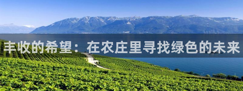 体育金年会