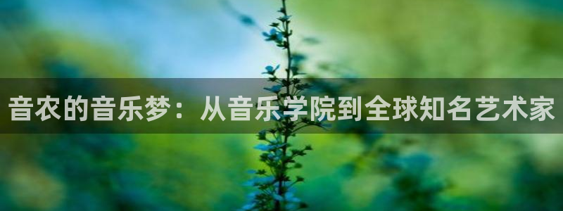 金金年会