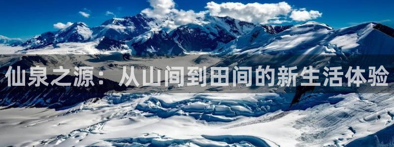 金年会官网