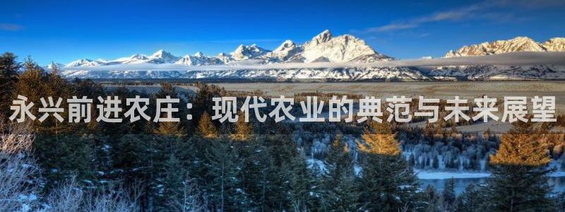 金年会 平台
