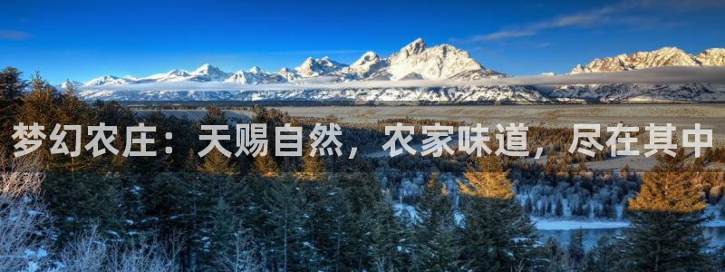 金年会国际