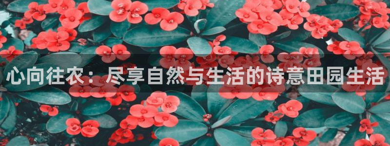 金年会棋牌