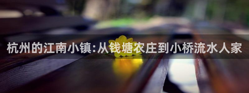 金年会入口网站