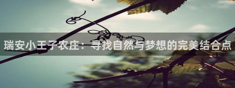 金年会 中国 金年会
