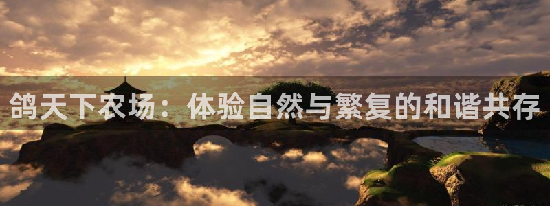 金年会提款慢