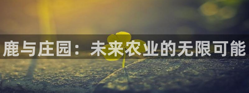 金年会安装