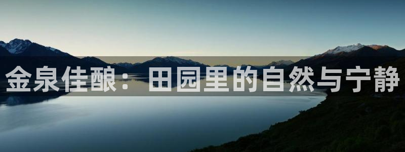 金年会赞助商