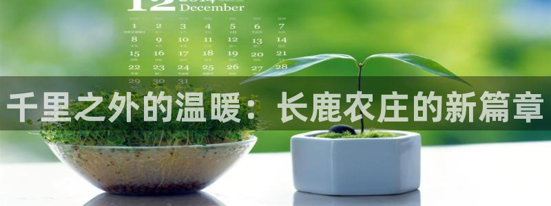 金年会APP下载