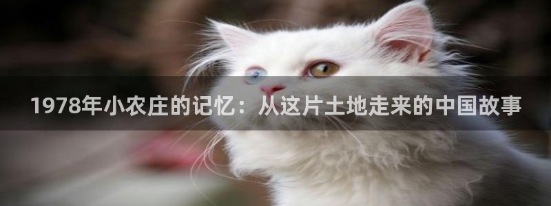 金年会国际