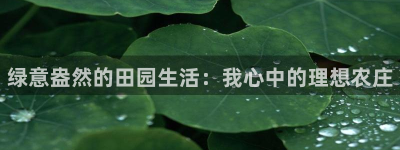金年会官网地址