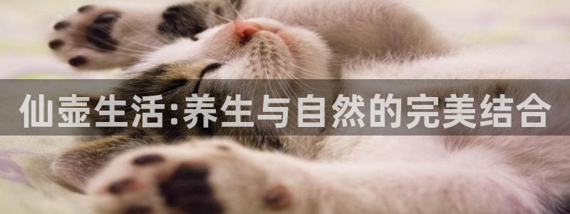 世纪金源年会