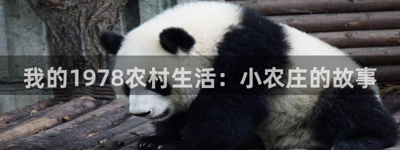 金年会jinnian