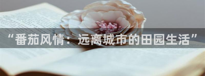 金年会体育