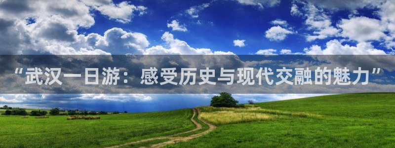 金年会这个平台