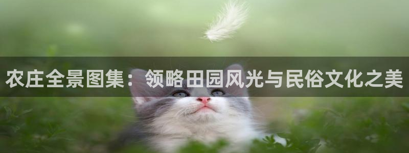 金年会现金网
