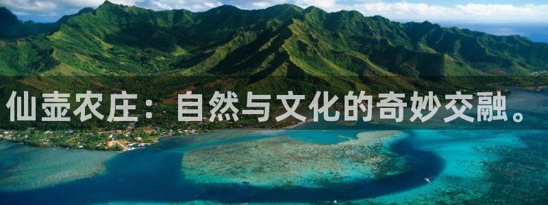 金年会电子游戏app