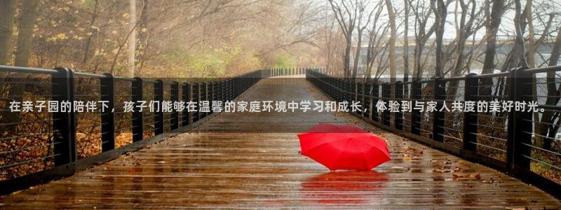 金年会官网app