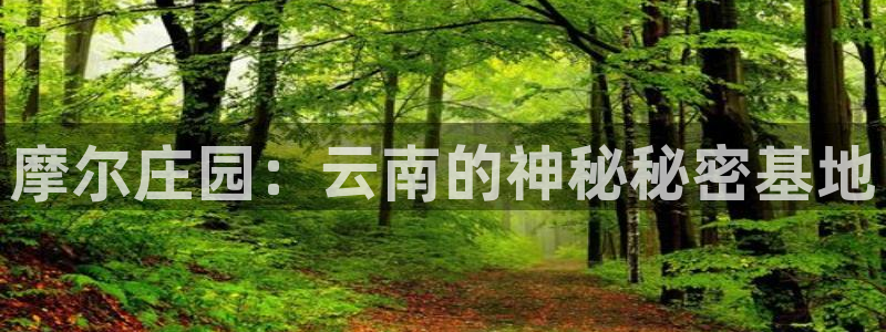 金年会下载官方