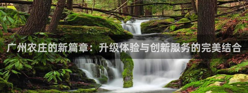 金年会官网入口