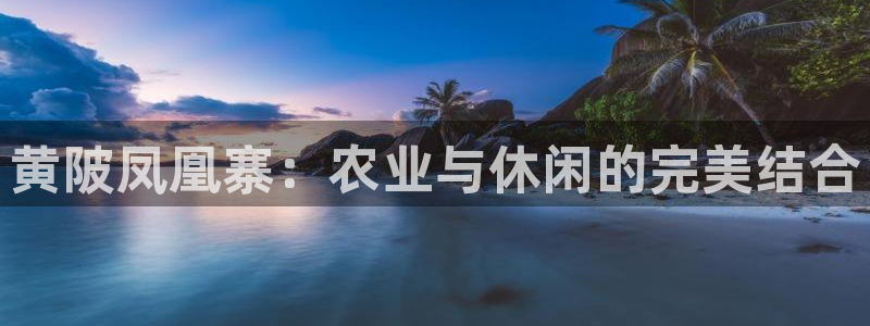 金年会平台是什么