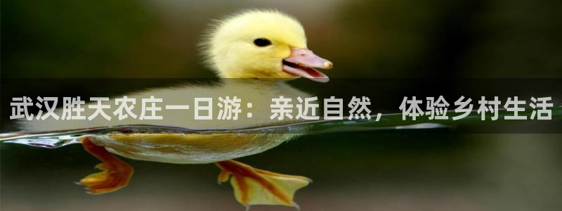 金年会手机版