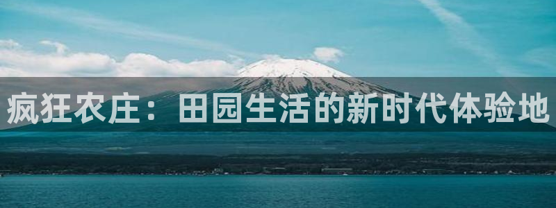金年会com