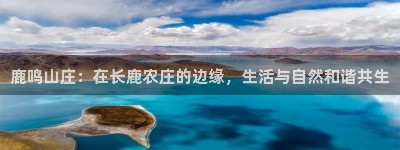 金年会平台游戏