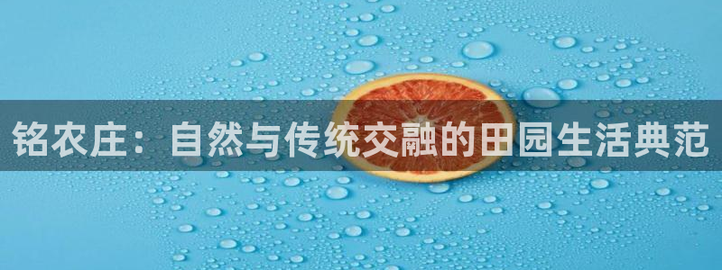 金年会平台是什么