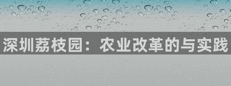 金诚集团年会