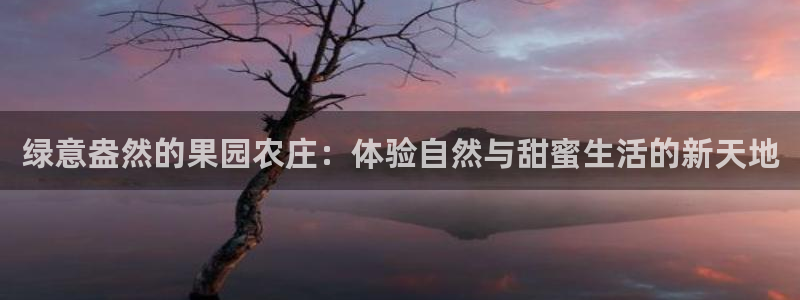金 金年会