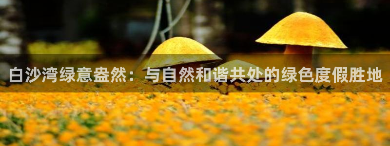 金年会最新下载