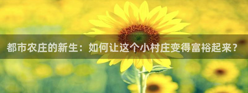 金升年会