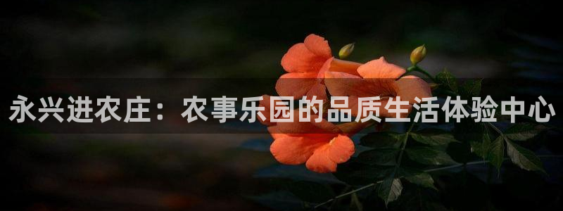 金年会游戏官网