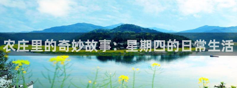 金年会赞助商