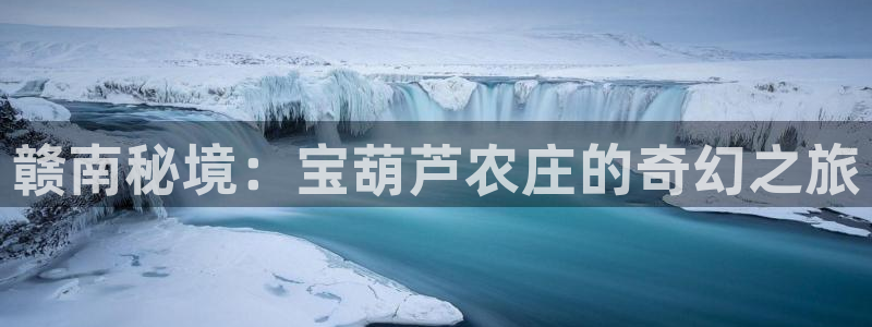 金年会平台出款