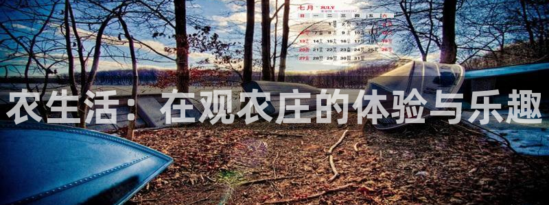 金诚集团年会