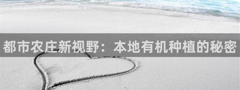 金年会赞助曼联