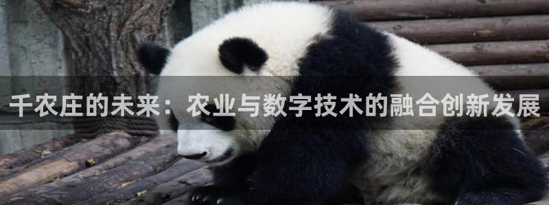 金年会会