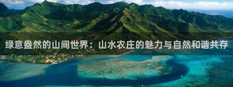 金年会活动