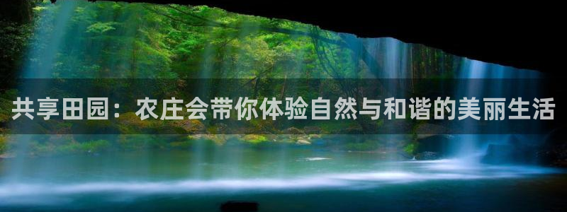 金吉年会