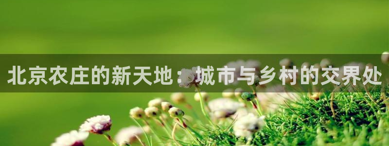 金年会品牌