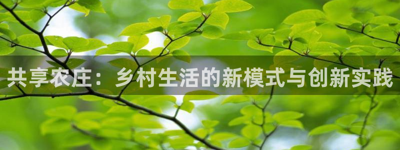 jinnian金年会
