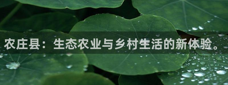 金年会信誉