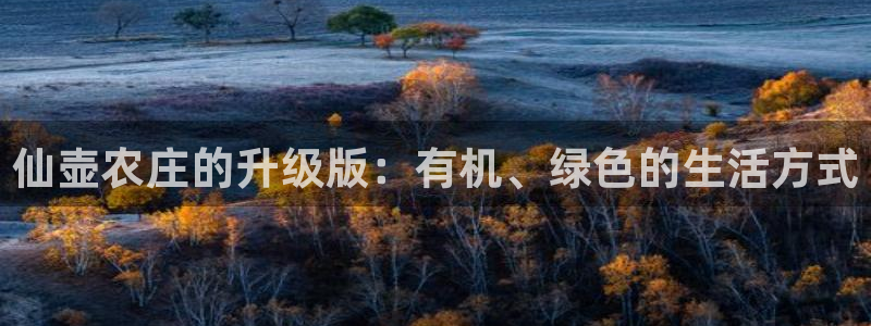 金年会平台