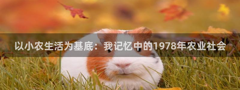 金年会是真的吗