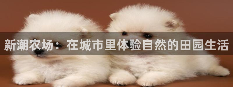 金年会手机登录