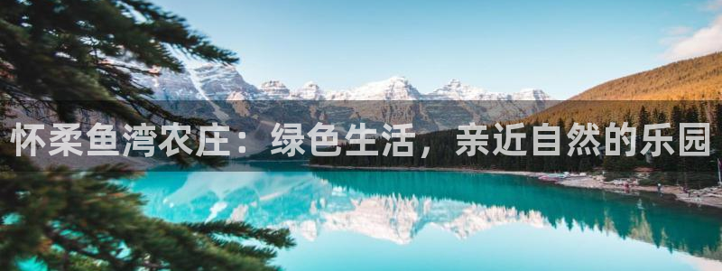 金年会会