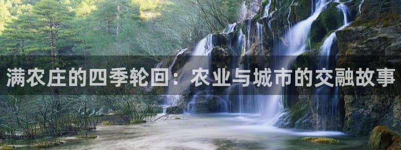 金吉年会