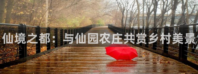 金年会足彩